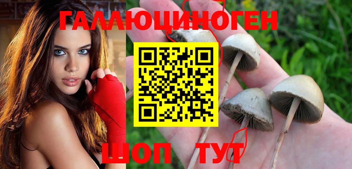 Галлюциногенные грибы Cubensis Петропавловск-Камчатский