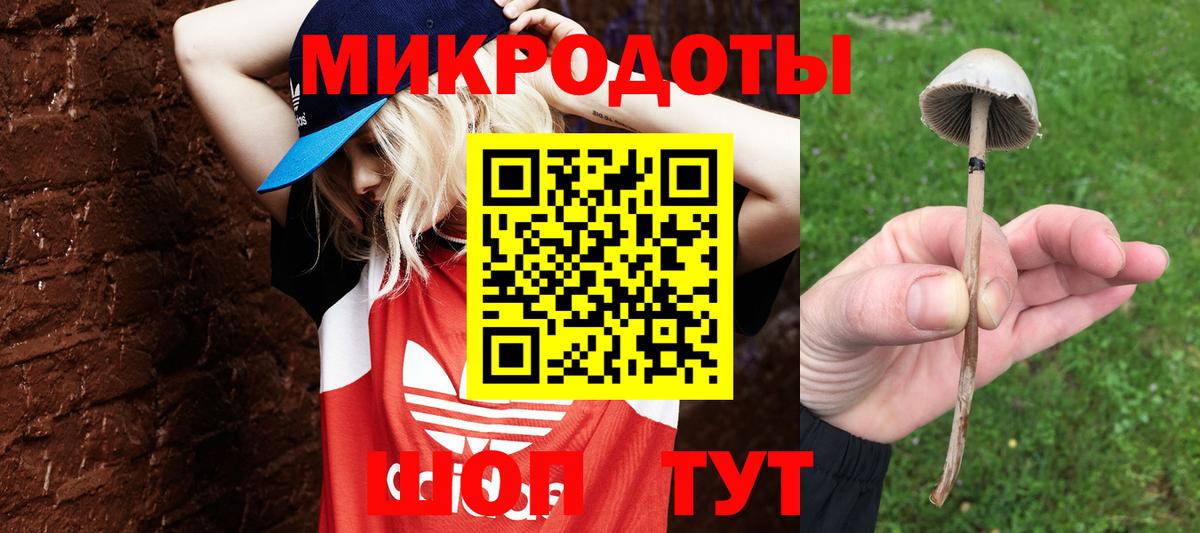 Галлюциногенные грибы Psilocybine cubensis  Галлюциногенные грибы Cubensis  Вход с VPN  Петропавловск-Камчатский 
